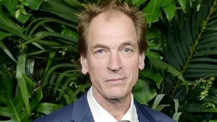 Julian Sands Illness: Unveiling The Enigma
