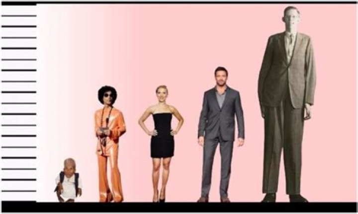 All About Prince: Singer Height and More