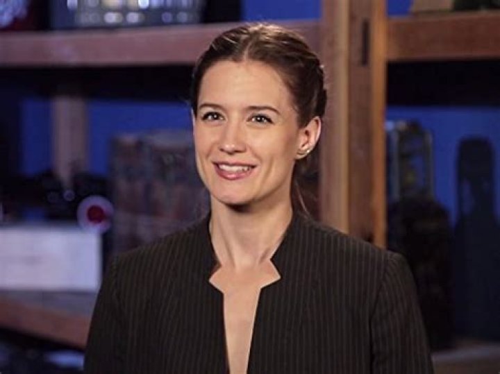 Rebecca Romney: Age, Biography, and Career Insights