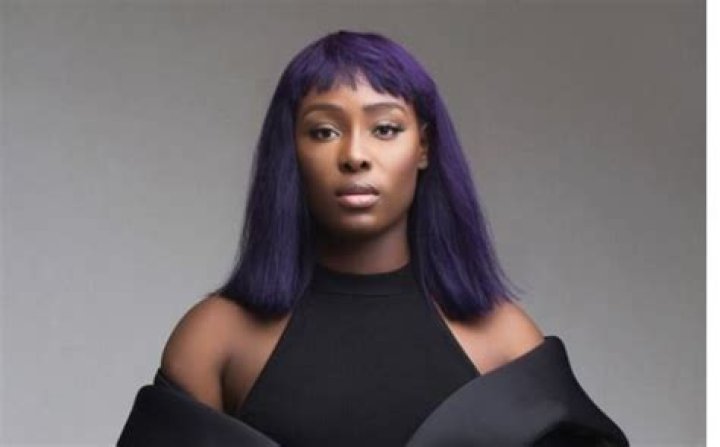 Tolani Otedola: The Rising Star of the Entertainment Industry