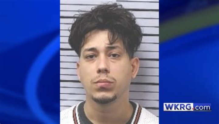 Why Was YouTuber Dani Dip Arrested? Charges and Mugshots