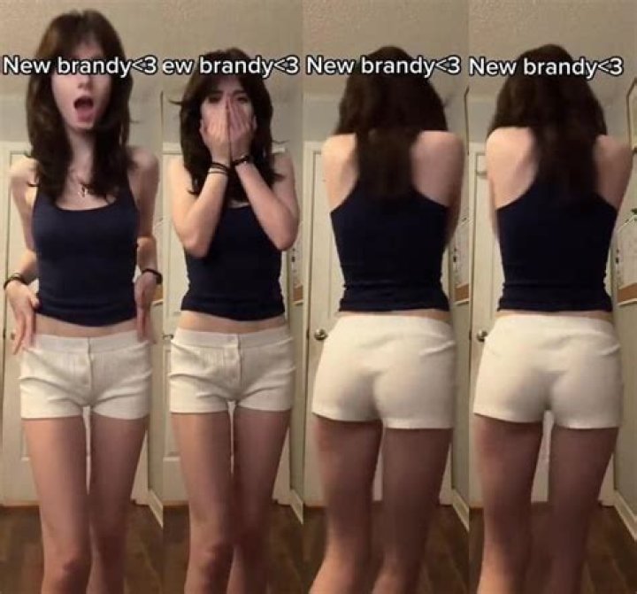 Understanding Willowww Fanfix: A Comprehensive Guide